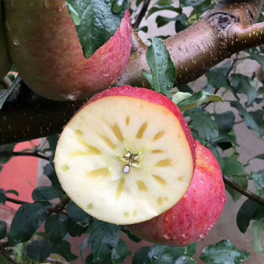 糖心苹果新鲜脆甜苹果8斤包邮