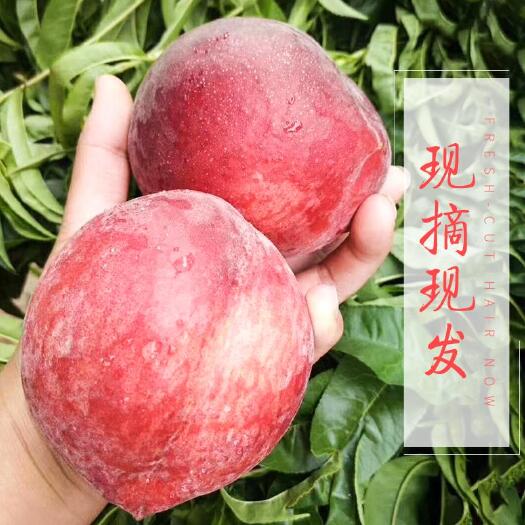 蒙阴县 山东蒙阴水蜜桃 自有基地 绿色认证 一件代发