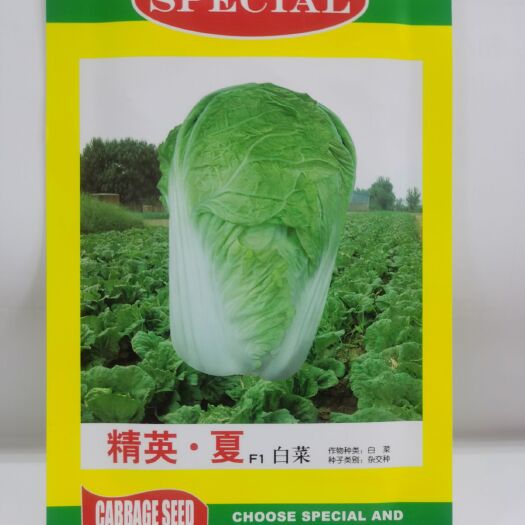 安丘市 夏季耐热白菜种子 精英夏新概念 玲珑黄类型耐热黄心白菜种子