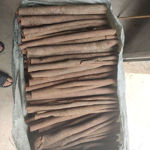 南宁中通桂皮 价格美丽