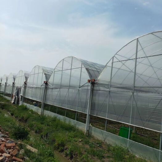 泊头市连栋棚 简易小连栋