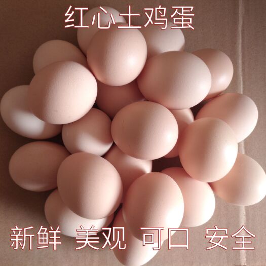 进贤县普通鸡蛋  土鸡蛋粉壳红心乡下自产现产现发新鲜土鸡蛋