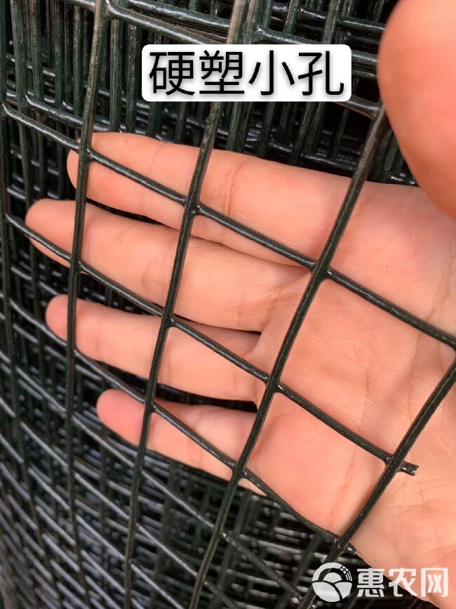 荷兰网  硬塑小孔圈山圈地护栏养鸡养鸭养殖种植钢丝网铁丝网果园网