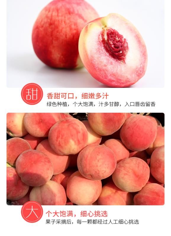  山东蒙阴水蜜桃 自有基地 绿色认证 一件代发