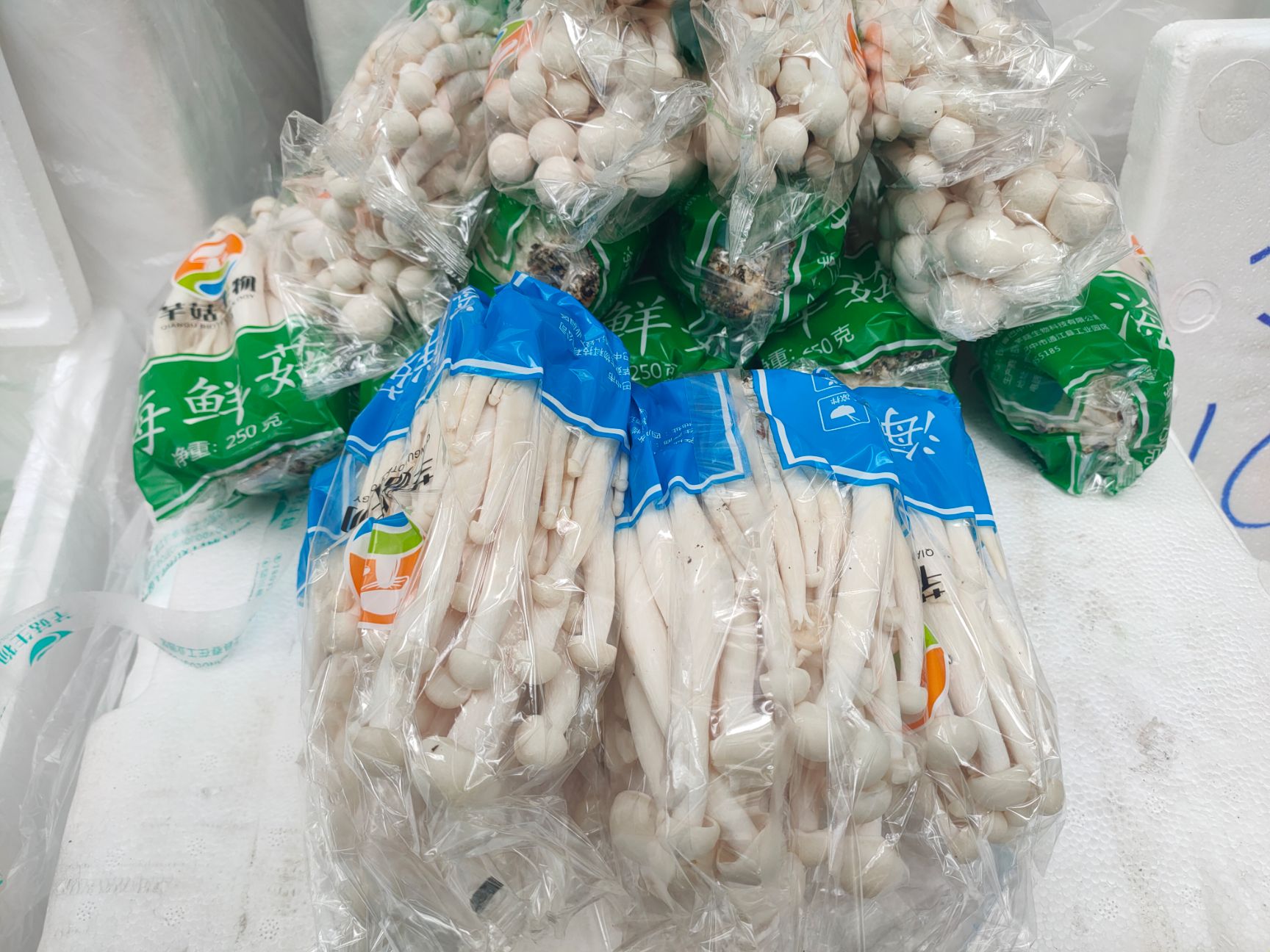 成都海鮮菇 人工種植 鮮貨