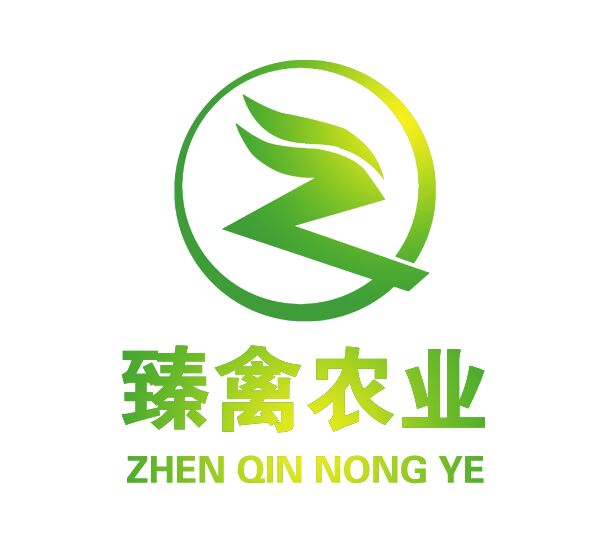 纯种马岗鹅苗，出壳包打疫苗，包运输包存活，下单提供养殖技术