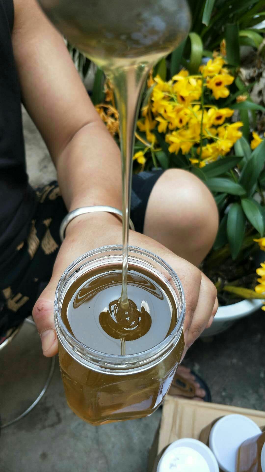 梦见采野蜂蜜(做梦梦到采野蜂蜜) 梦见采野蜂蜜(做梦梦到采野蜂蜜)