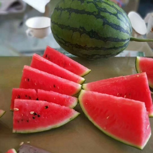 潍坊早春红玉西瓜  山东精  优 质西瓜甜瓜大量供应。