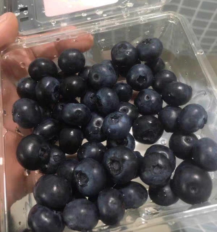 薄雾蓝莓 蓝梅基地现采现摘，薄雾蓝梅酸甜可口