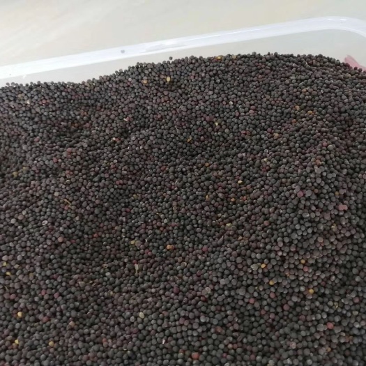 汨罗市油菜籽