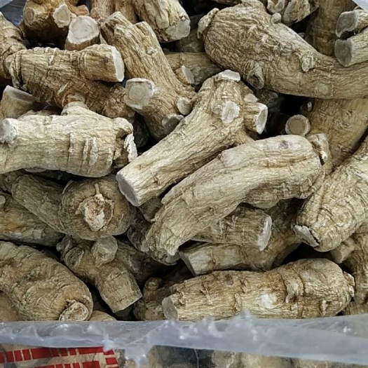 福州 海参，虫草，燕窝批发