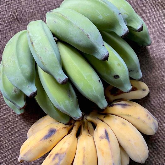 凭祥市 广西小米蕉5斤9斤一件代发皇帝蕉苹果蕉【大量现货】