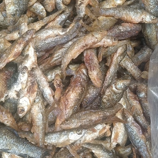 上饶小鱼干  鱼干麦穗鱼