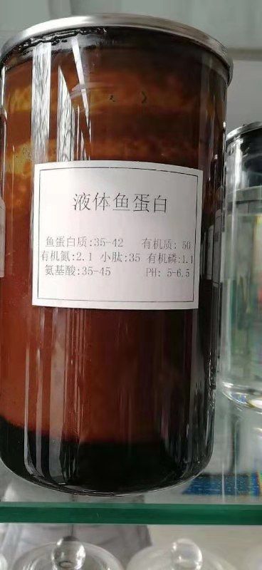  鱼蛋白膏体