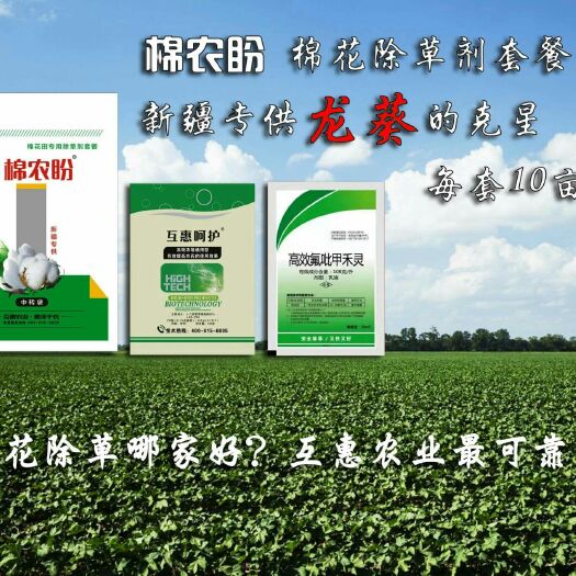 郑州精喹禾灵  棉花除草剂龙葵:髙效氟吡甲禾灵十二烷基苯磺酸钠