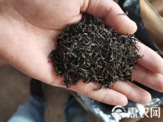 祁门红茶  精品 高中低档大量供应