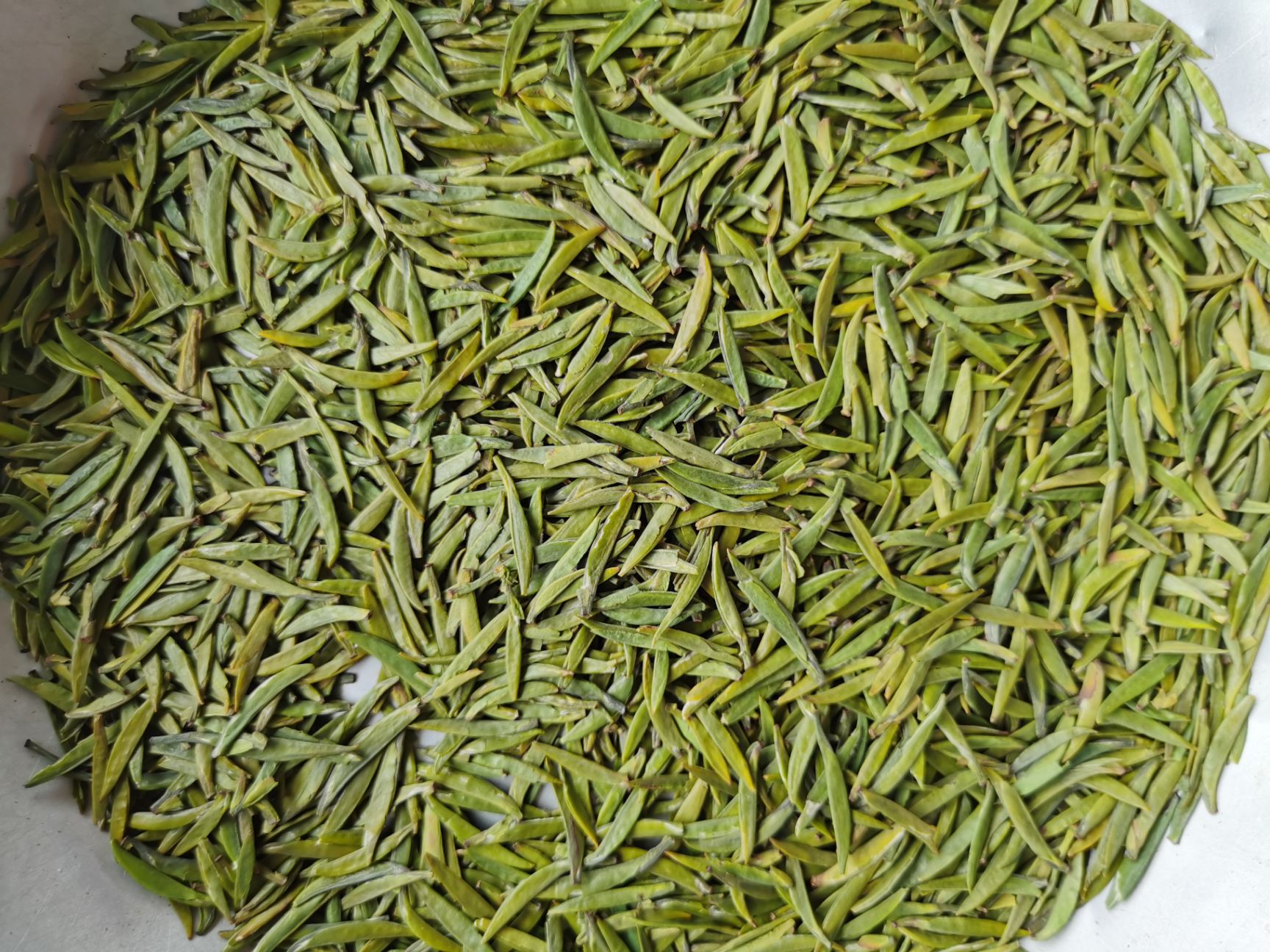  高山绿茶竹叶青雀舌
