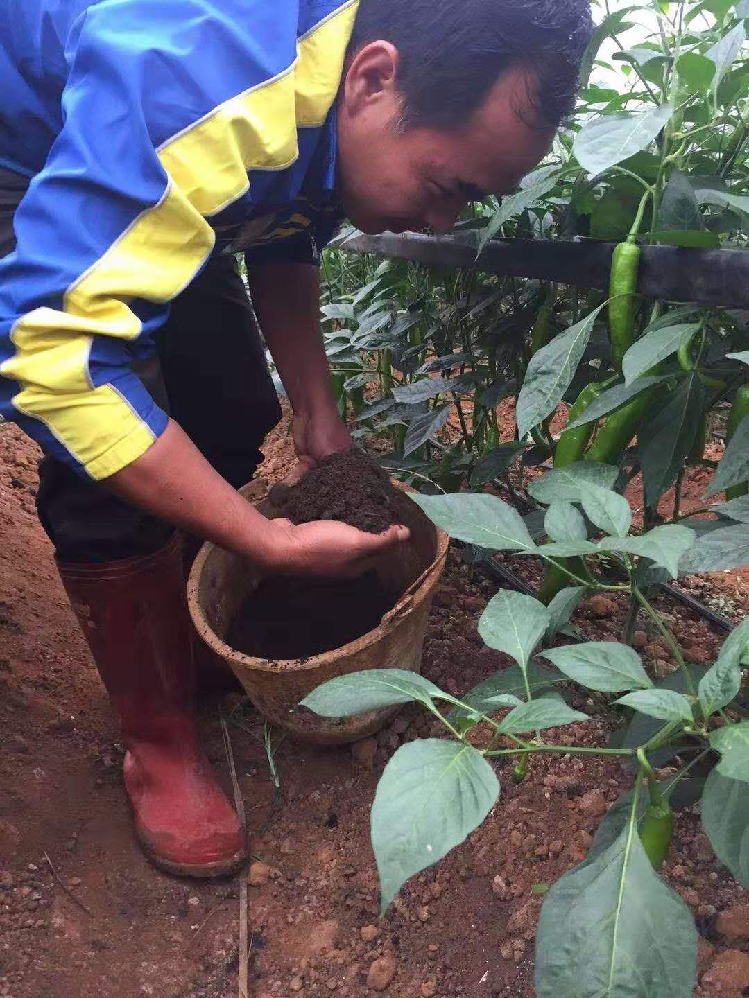  大理有机肥厂家直销生物菌发酵有机肥富含生物菌有机质