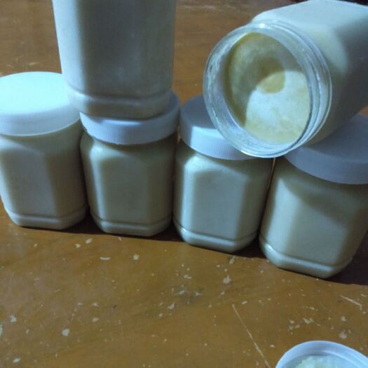 阳春市 中蜂蜜冬鸭脚木结晶蜜