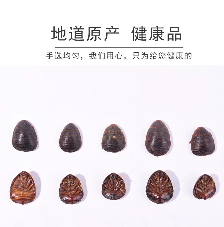 中华土元 土鳖虫 中药材土元土鳖虫土虫各种规格干货正品