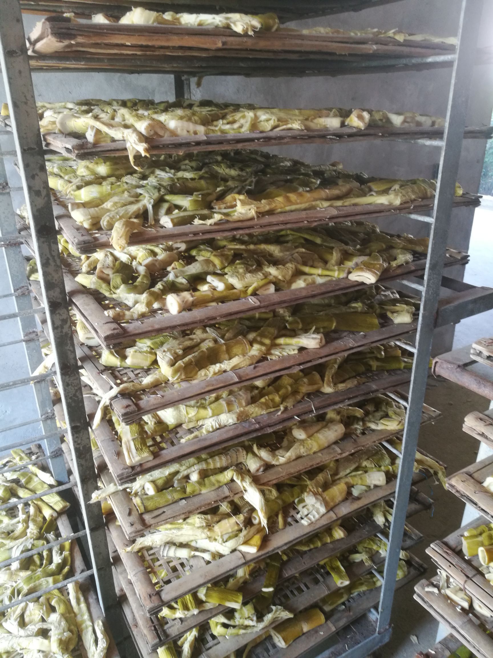 天目山笋干笋竹笋干批发农家自制嫩小竹笋野干笋尖特级散