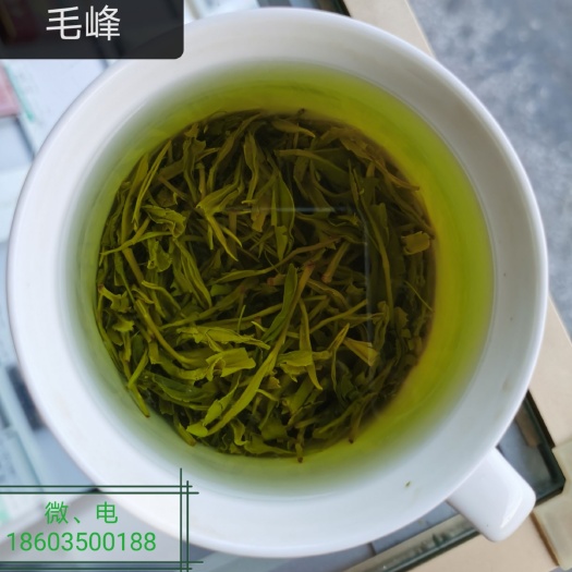 雅安 高山绿茶蒙顶山毛峰