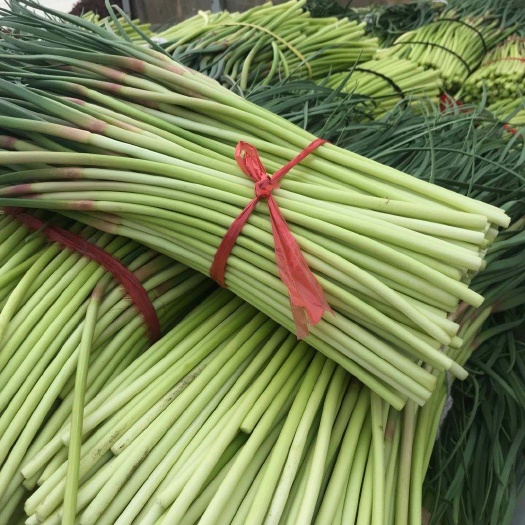 红帽蒜苔代发全国