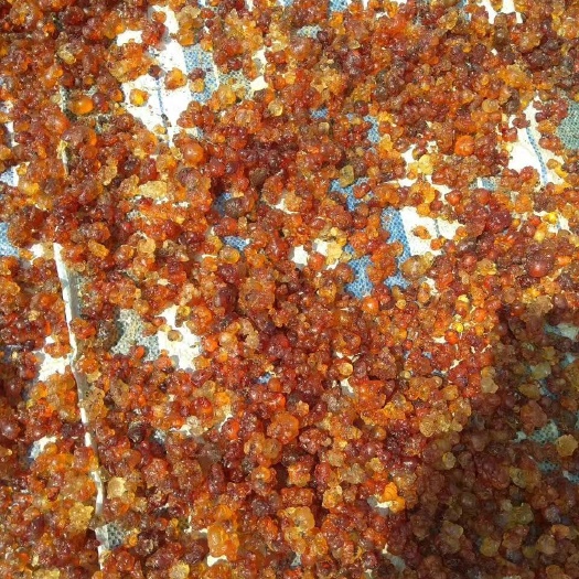 枣阳市 枣阳桃乡桃胶