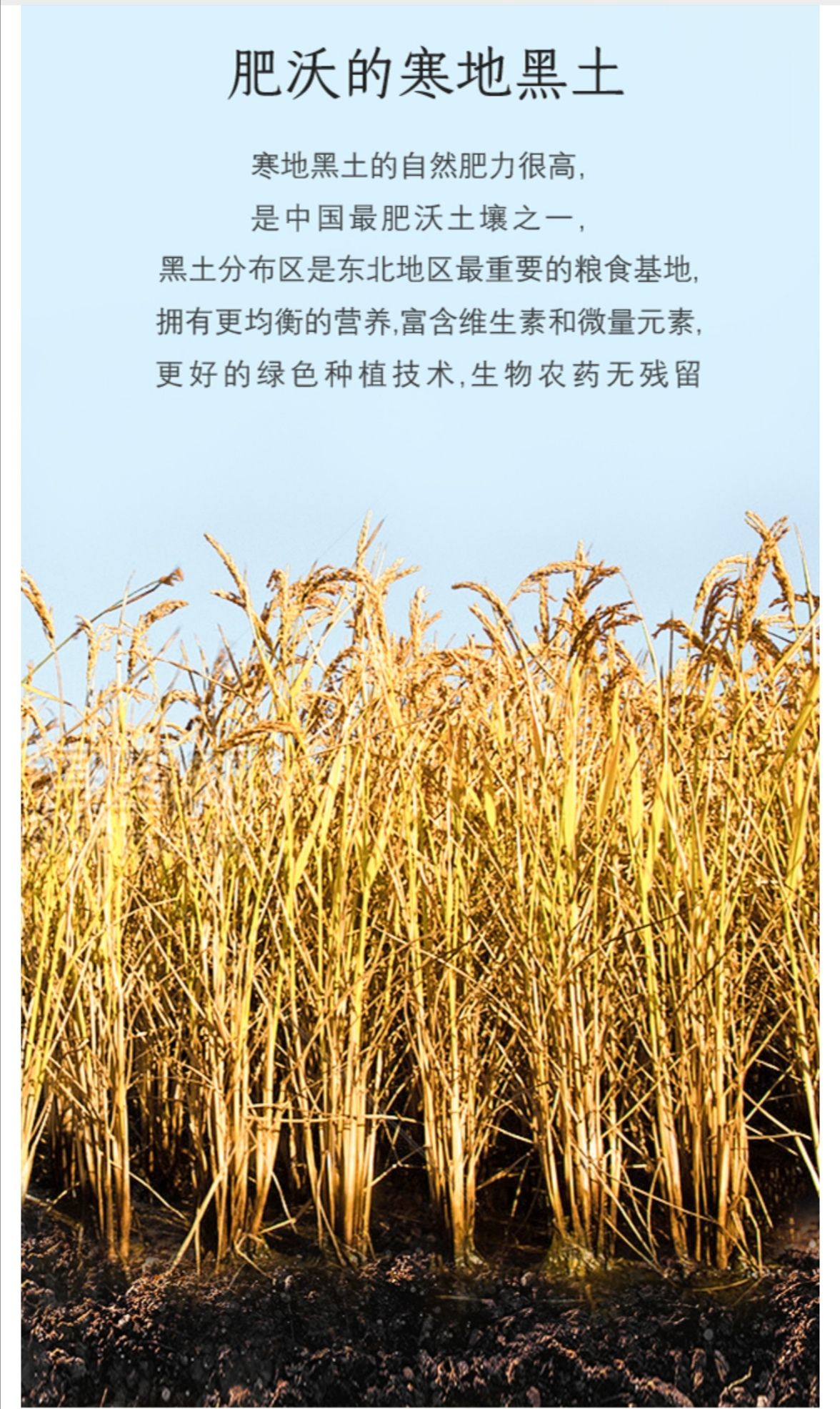 胚芽米 稻花香2号·佳香鲜米~源头直供