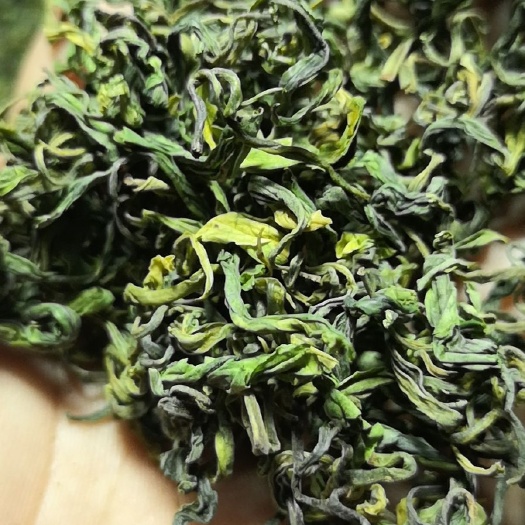 安吉县 安吉白茶