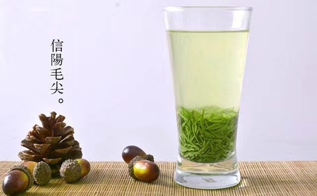信阳 信阳毛尖春茶尾