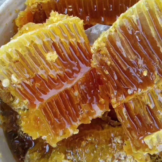 上海 天然纯蜂蜜剂味道好保证质量