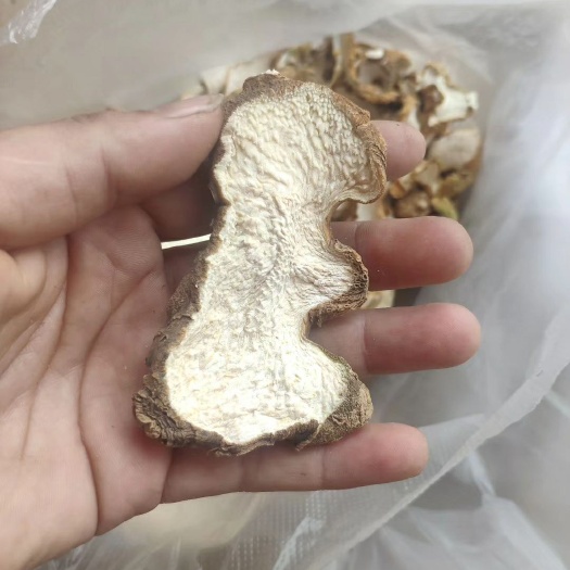 新平县滇黄精大果开片
