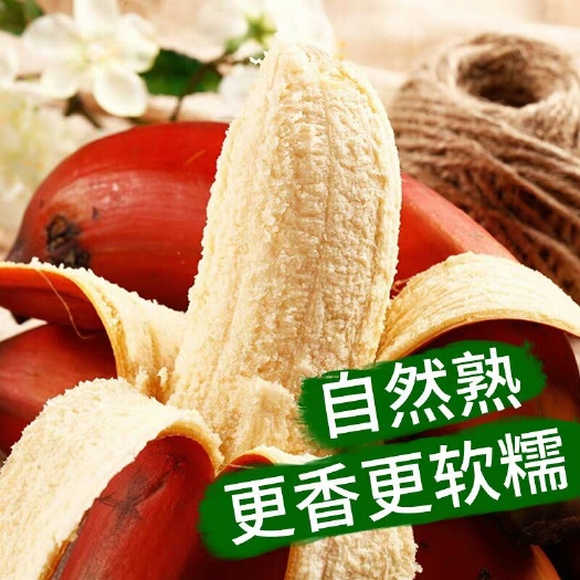 平和县红皮香蕉，福建土楼红香蕉5斤20个左右包邮支持一件代发