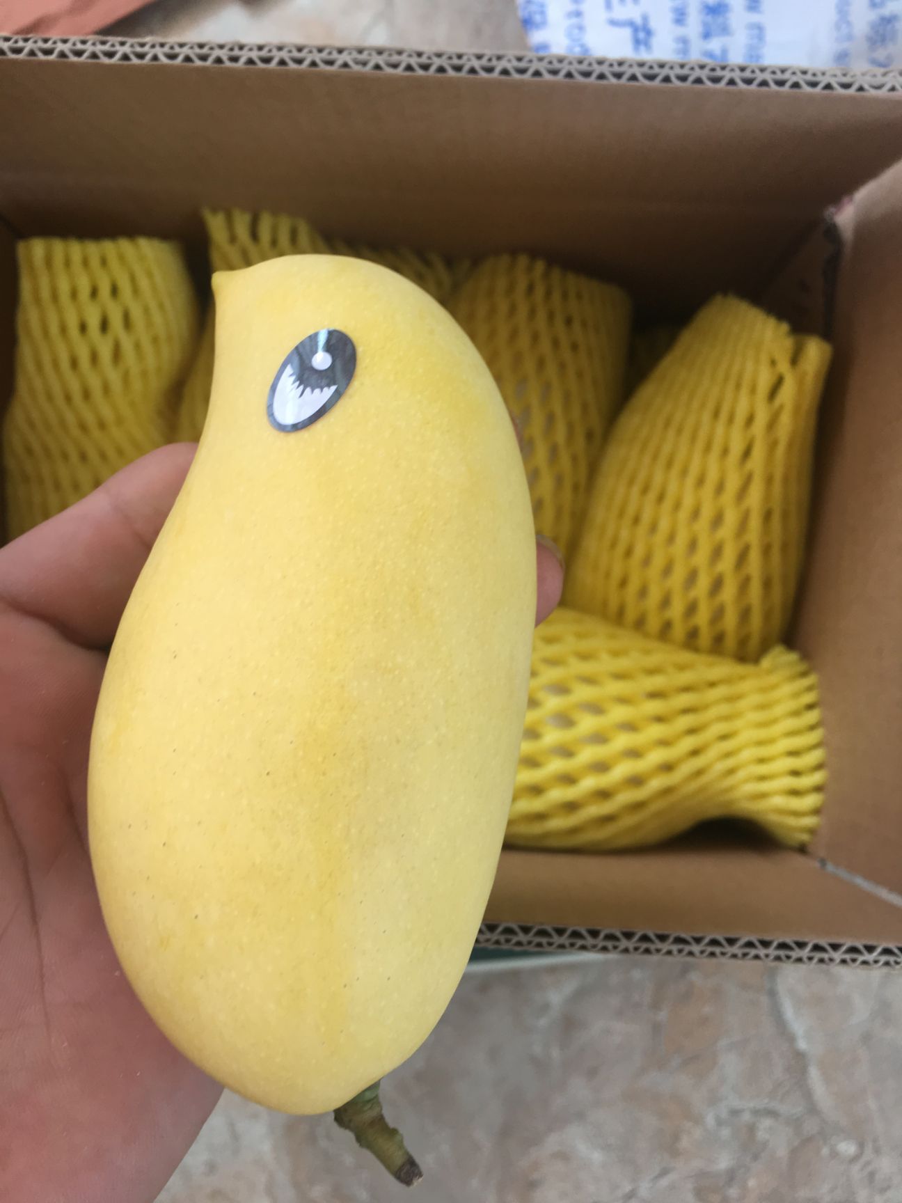  本地鹰嘴芒果上市，香味独特，周期长，量大。保山产地直采。