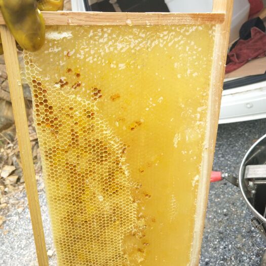 新宁县土蜂蜜 白色至浅琥珀色，味甜润而微酸