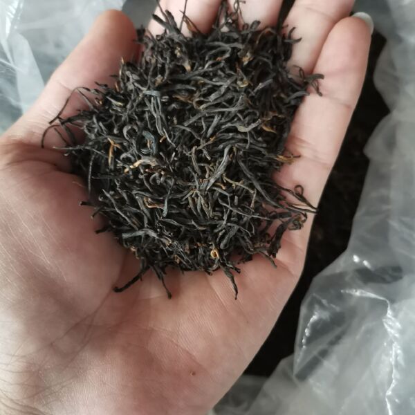 祁门红茶  精品 高中低档大量供应