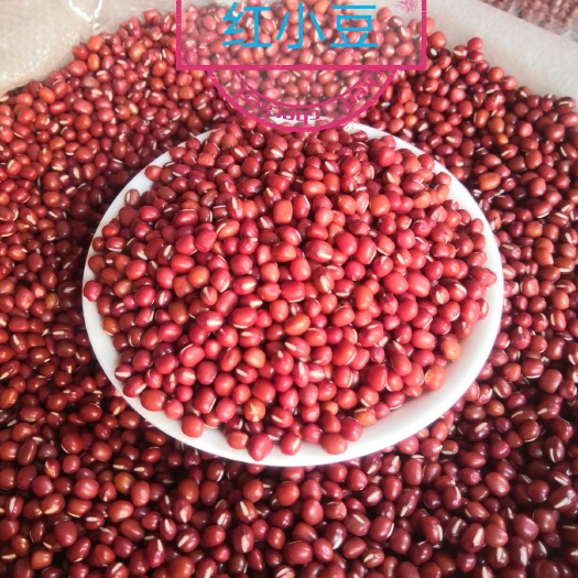 大红豆  红豆 红小豆 珍珠红豆 东北红豆