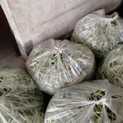 泾阳县 无筋豆角