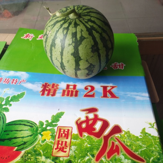 潍坊潍坊特产2k西瓜包熟包甜价格不高