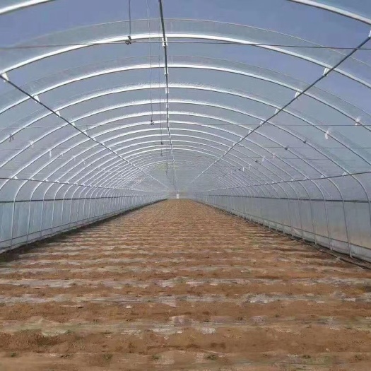 天津热镀锌管 种植大棚骨架 热镀锌钢管椭圆管 包塑管 规格长年在线 质量保