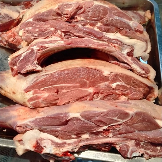 银川盐池滩羊  滩羊肉