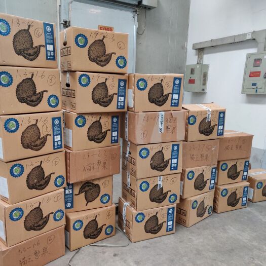 北京 猫山王原产地正品榴莲(整果)