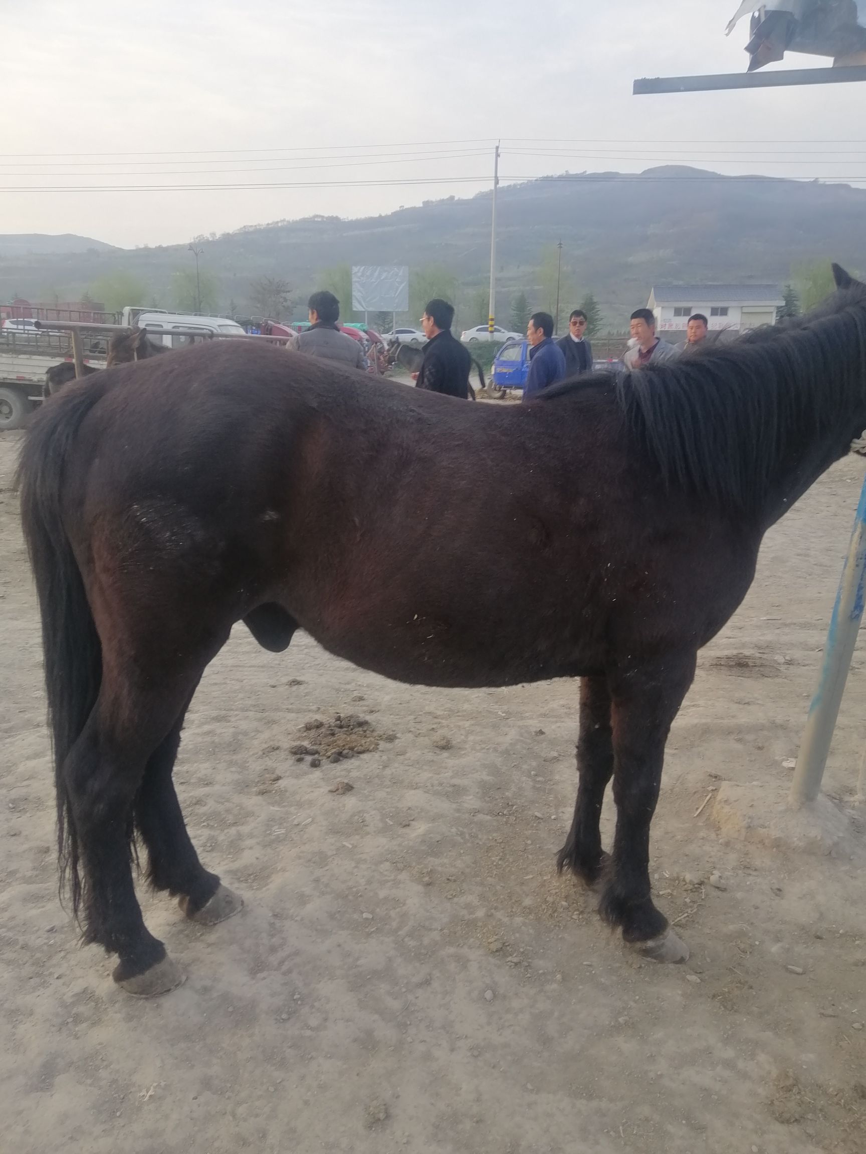 毛驴 价格不实赔付，货不够赔付，收钱不发货赔付