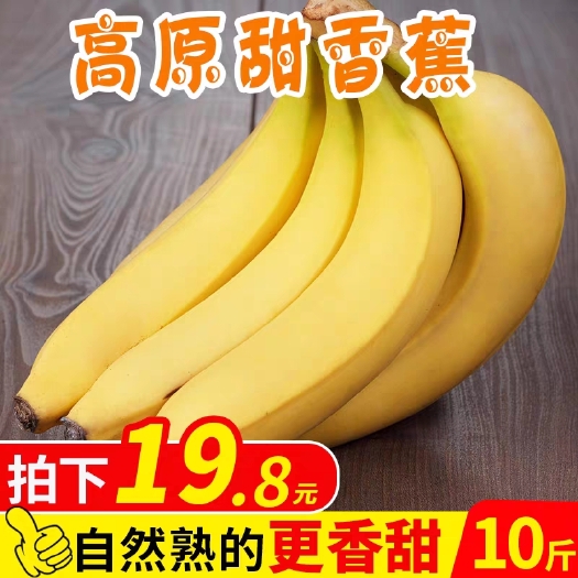 河口县 云南红河大香蕉10斤高山非小米蕉枇杷香蕉一件代发