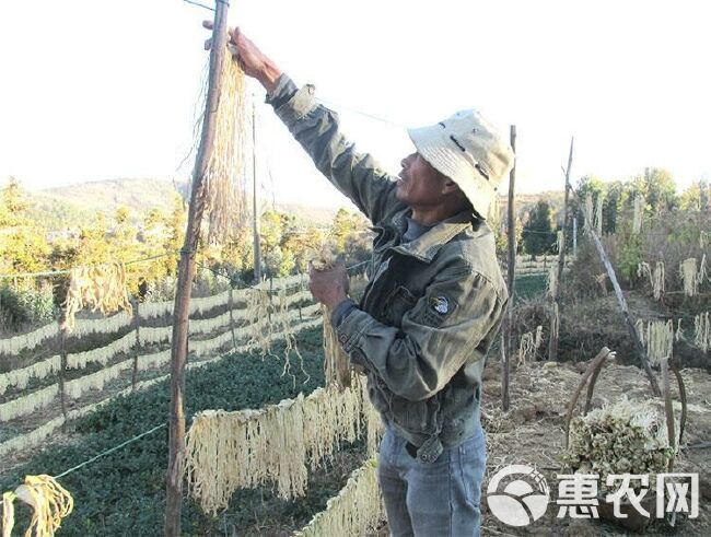 萝卜干干货湖南土特产干萝卜条农家自制脆嫩萝卜萝卜丝风干白萝卜