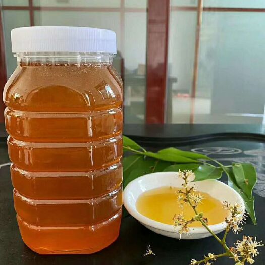 海口荔枝蜜 海南永兴荔枝花，自家养殖