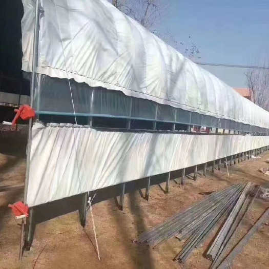天津养殖大棚 养殖种植专用大棚骨架 热镀锌钢管椭圆管 各种规格 厂家直销