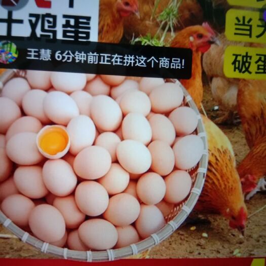 武汉 农家正宗山林散养土鸡蛋