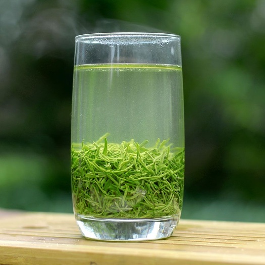 信阳2025茶叶礼盒装信阳毛尖新茶清明前高山绿茶浓香型500g